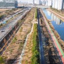 도시숲(석남녹지도시숲) 이미지