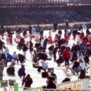 평창송어축제 이미지