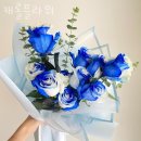 캐롤플라워