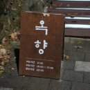 옥향 | 양림동맛집 옥향 굴찜세트 후기