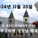 2024년 11월 25일 메주고리예 성모님 메시지 이미지