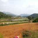 꽃돌농장 이미지