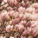 스타벅스 김해진영DT점 이미지