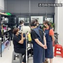 마포구 신정동 소코케 고양이 분양 후기와 알아두기