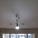 장기초록나라 이미지