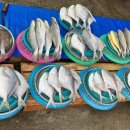 구수골펜션 이미지