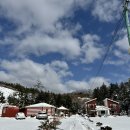 하이디코리아 이미지