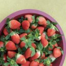 쌍림농장 이미지