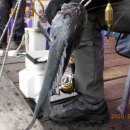 CU(대산삼길포점) 이미지