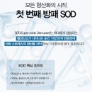 (주)엔엠시스템 | SOD vs NMN-C 항산화 효소와 물질의 차이점-(주)리쏘드