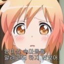 코토우라 이미지