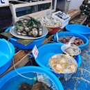 벌교5일시장 이미지