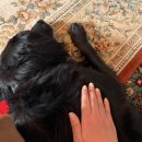 지에스25진해바다마을점 | 부랴부랴쓰는 블챌 일기 - 마우스북페어 후기와 부산여행 그리고 책방오늘