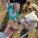 리틀포우 이미지