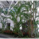 야자수정원 이미지