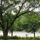 이목농원 이미지