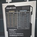 공룡목장 | 용인 아이와 가볼만한곳 실내 공룡 다양한체험 <다이노베이 용인>