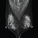 성모이안내과 이미지