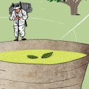 금강공원 이미지