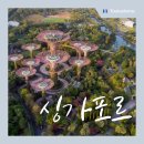 싱가포르 패키지 여행 3박 5일 총정리(코스 비용 후기 날씨)