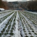 터골농원 이미지