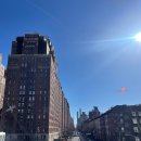 넘버원타코 이미지