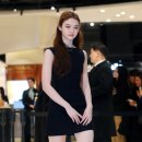 엘라 스타뉴스