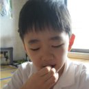 (주)한국인삼공사 - 부여군 | (주)한국인삼공사
