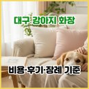 펫과의동행 | 대구 강아지 화장, 비용·후기와 장례 기준을 함께 보는 법