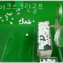 레이크스크린골프 이미지