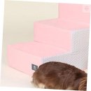 도그니엘 이미지