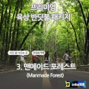 반딧불안경 이미지