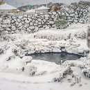 채송화펜션 이미지