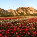 대산임업 - 평창군 | 대산임업