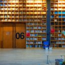 지혜의 숲 이미지