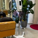 이화형 | 별내미용실 샵투헤어그라운드, 염색 커트 찐만족 후기