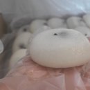달잔기지떡 이미지