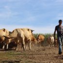 감산축산 이미지