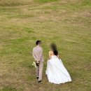 [웨딩스냅] 서울 야외스냅사진 Momentwhere 모멘트웨어 내돈내산 후기