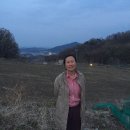 세정농장 이미지