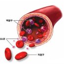 중금속 중독을 예방하고 건강한 피부를 만드는 식이유황의 효능 이미지