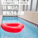 가평 독채 풀빌라 펜션 더 웰니스 풀빌라&amp;스파 솔직 후기