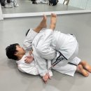 합성태권도장 이미지