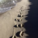 경포별빛연가 이미지