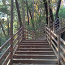 성지곡지 이미지