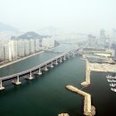 망 조 대 이미지