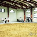 성남종합운동장 게이트볼장 이미지