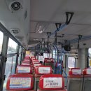 세운버스 이미지