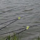 대성낚시터 이미지