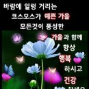근처커피
